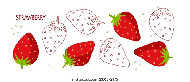 Strawberry hand drawn doodle lineart sketch and flat isolated. Flat vector Food template for sticker, logo, diet concept, farmers market. Sketch Logo illustration of healthy berry. Red strawberries