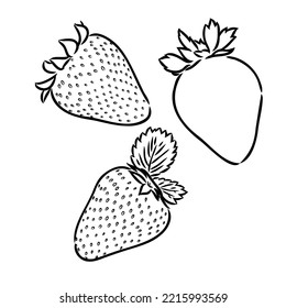 Strawberry hand drawn engraving isolated vector illustration. Pair garden fresh berries sketch. Organic healthy food black line on white background