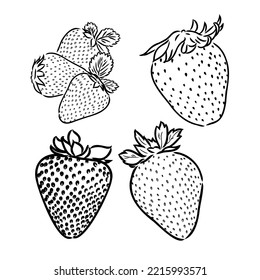 Strawberry hand drawn engraving isolated vector illustration. Pair garden fresh berries sketch. Organic healthy food black line on white background