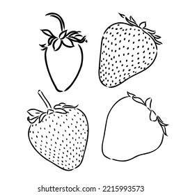 Strawberry hand drawn engraving isolated vector illustration. Pair garden fresh berries sketch. Organic healthy food black line on white background