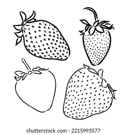 Strawberry hand drawn engraving isolated vector illustration. Pair garden fresh berries sketch. Organic healthy food black line on white background