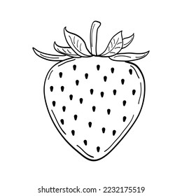 Strawberry hand drawn engraving isolated vector illustration. Fresh berries sketch. Organic healthy food black line on white background