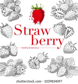 strawberry hand drawn illustration