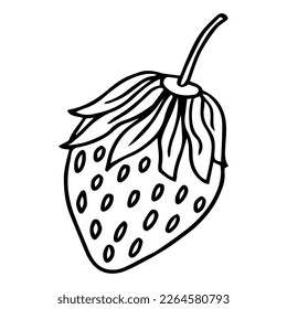 Strawberry hand drawn isolated on white background