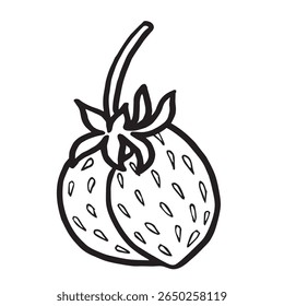 Strawberry hand drawn isolated vector illustration for food product desing. Fresh garden berries black and white sketch, organic healthy food. Summer fruit in line art style for cosmetic and textile.