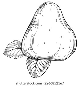 Strawberry Hand dibujó un contorno con un fondo transparente. Vector