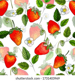 Strawberry. Hand drawn. Seamless pattern with red berries, white flowers and green leaves on white background. Illustration for kitchen design, packaging, textile, wrapping paper. Vector.
