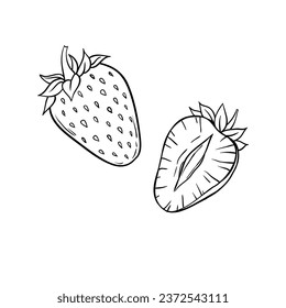 Strawberry, hand drawn sketch linen vector illustration.