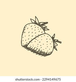 Dibujo gráfico gráfico con dibujos a mano de fresa ilustración vectorial.
