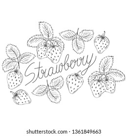 Strawberry hand drawn vector illustration