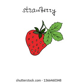 Strawberry. Hand drawn vector illustration.
