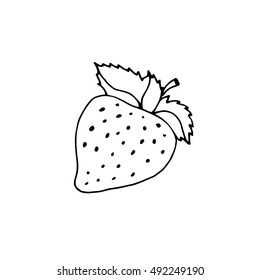 Strawberry hand drawn. Vector illustration.