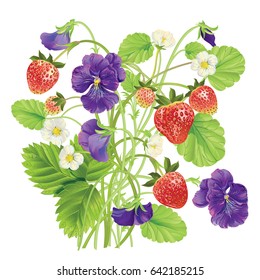 Strawberry and heartsease with leave, water drops and flowers. Vector realistic illustration. On white background. Design for grocery, farmers market, natural cosmetics, summer garden design element.