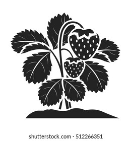 Strawberry icon in black style isolated on white background. Plant symbol stock vector illustration.