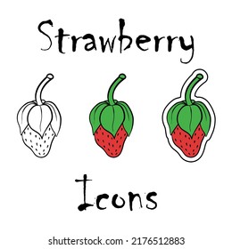Strawberry icon collection - vector outline and silhouette