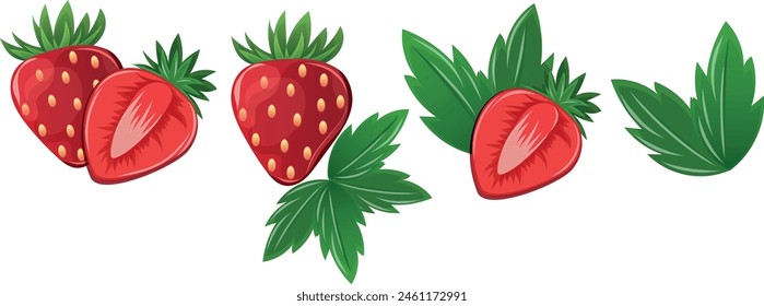 Strawberry illustations and slices of strawberries. Vector illustration of strawberries. Vector for decorative poster, emblem.