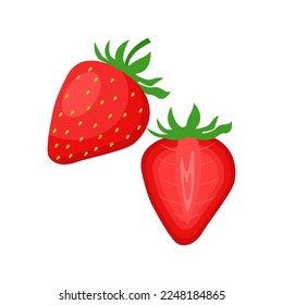 Strawberry illustration. Berry whole and cut. Flat vector illustration in cartoon style isolated on white background 