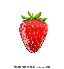 Strawberry illustration. Isolated picture. Vector