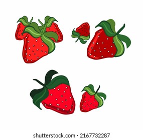 Strawberry illustration. Red berry. Healthy food.	