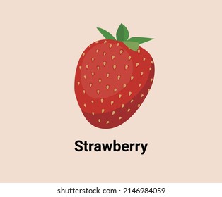 Strawberry illustration set. Fruit Vector drawing. Hand drawn style.