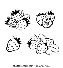 Strawberry Illustration set, vector. Hand drawn cartoon illustration of strawberry icons isolated on white background. Great for packing design, poster