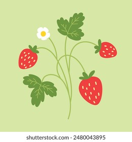 Strawberry illustration. Vector print. Hand drawn berries, strawberry flower and leaves.