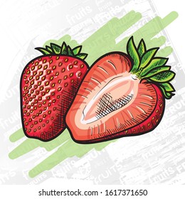 Strawberry ilustration, hand drawn and painted fruits with lines