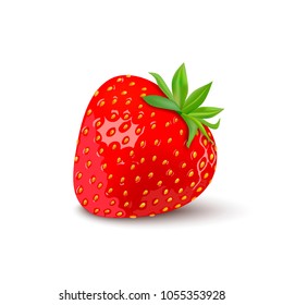 Strawberry isolated on the white background. Vector illustration.
