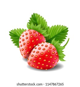 Strawberry isolated on white background, vector illustration.