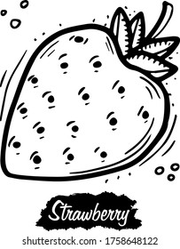 Strawberry isolated on white background. Vintage black vector engraving illustration. Hand drawn in a graphic style.
