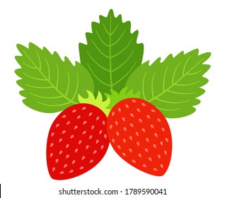 Strawberry isolated on white background, vector illustration of strawberries with leaves