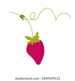 Strawberry isolated on white background