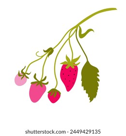 Strawberry isolated on white background