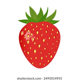Strawberry isolated on white background. Red ripe strawberry. Vector illustration.