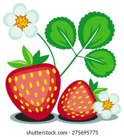 Strawberry isolated on a white background