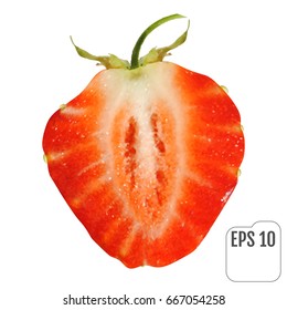 Strawberry isolated on white background. Vector