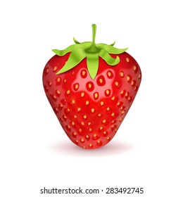 Strawberry isolated on white. High quality vector. EPS10 vector