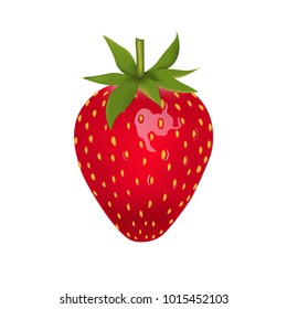 Strawberry isolated vector illustration