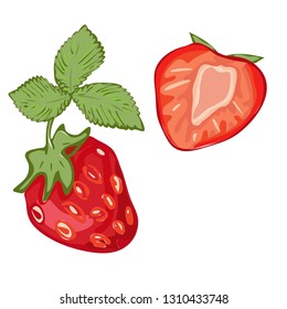strawberry isolated vector illustration icon clip art image. red pink cartoon sketchy berry with leaf hole and a half