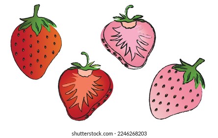 Strawberry isolated vector set on white background , fruit line art vector isolated