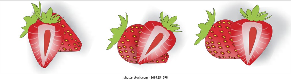 Strawberry Isolatedberriesberry Sweet Fruit Realistic Illustration Stock Vector Royalty Free 