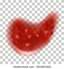 Strawberry jam splash, liquid syrup texture. Red strawberry or cherry flowing  drip blob isolated on transparent background. Vector illustration