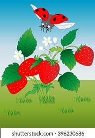Strawberry and ladybug on the lawn. Vector illustration.