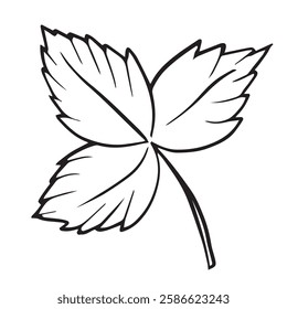 strawberry leaf illustration, this design is excellent for coloring pages, educational uses, printable content, and kitchen decorations.