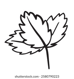  strawberry leaf is perfect for coloring activities, printable materials, educational content, and kitchen decor.