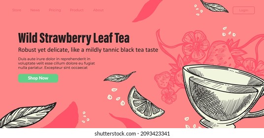 Strawberry leaf tea, wild berries and dry foliage for brewing beverage. Organic and natural ingredients for relaxing and relieving stress. Mint nd citrus. Website or landing page template, vector