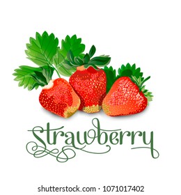Strawberry leaves and berries isolated on white background.