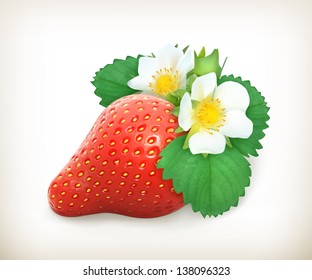 Strawberry with leaves and flowers