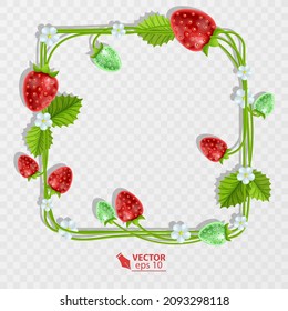 Strawberry with leaves and flowers. Decorative strawberry frame and border, vector illustration