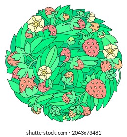 Strawberry with leaves and flowers. Round vector illustration.